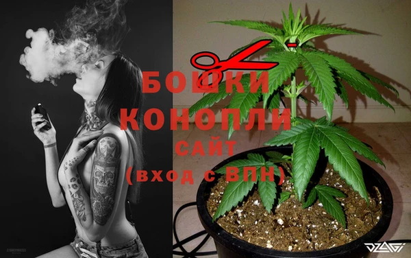 спайс Дмитров