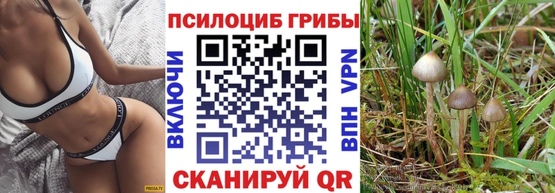 Псилоцибиновые грибы Psilocybe Петров Вал